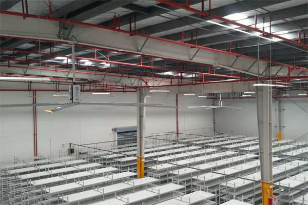 瑞泰風工業(yè)大風扇廠家案例圖 瑞泰風工業(yè)大風扇廠家案例圖